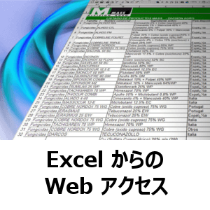 Excel からの Web アクセス