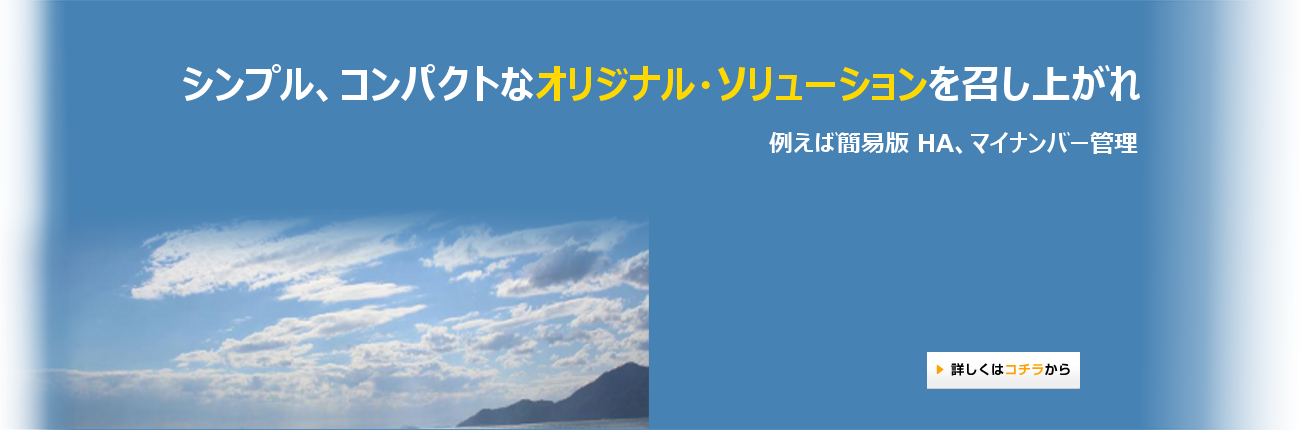 製品　シンプル、コンパクトなオリジナル・ソリューションを召し上がれ
				例えば簡易版 HA、マイナンバー管理